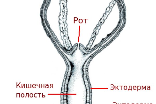 Тор кракен vk2 top