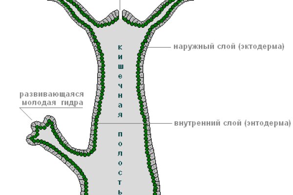 Что продают в кракен маркете