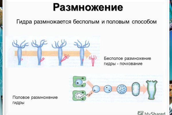 Кракен ссылка германия