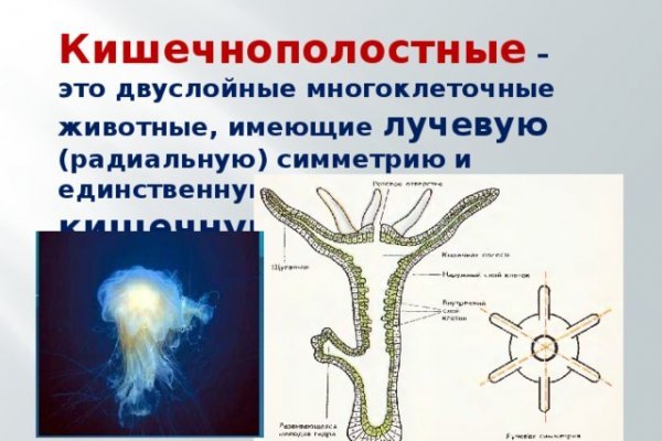 Кракен ссылка маркет